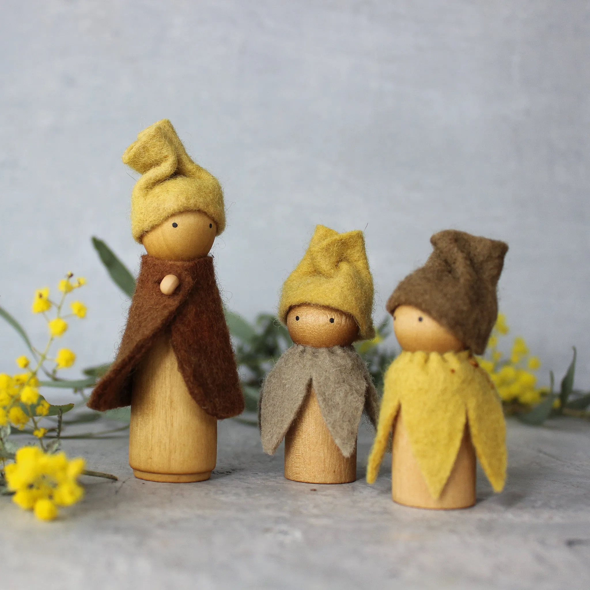 Bush Gnomes
