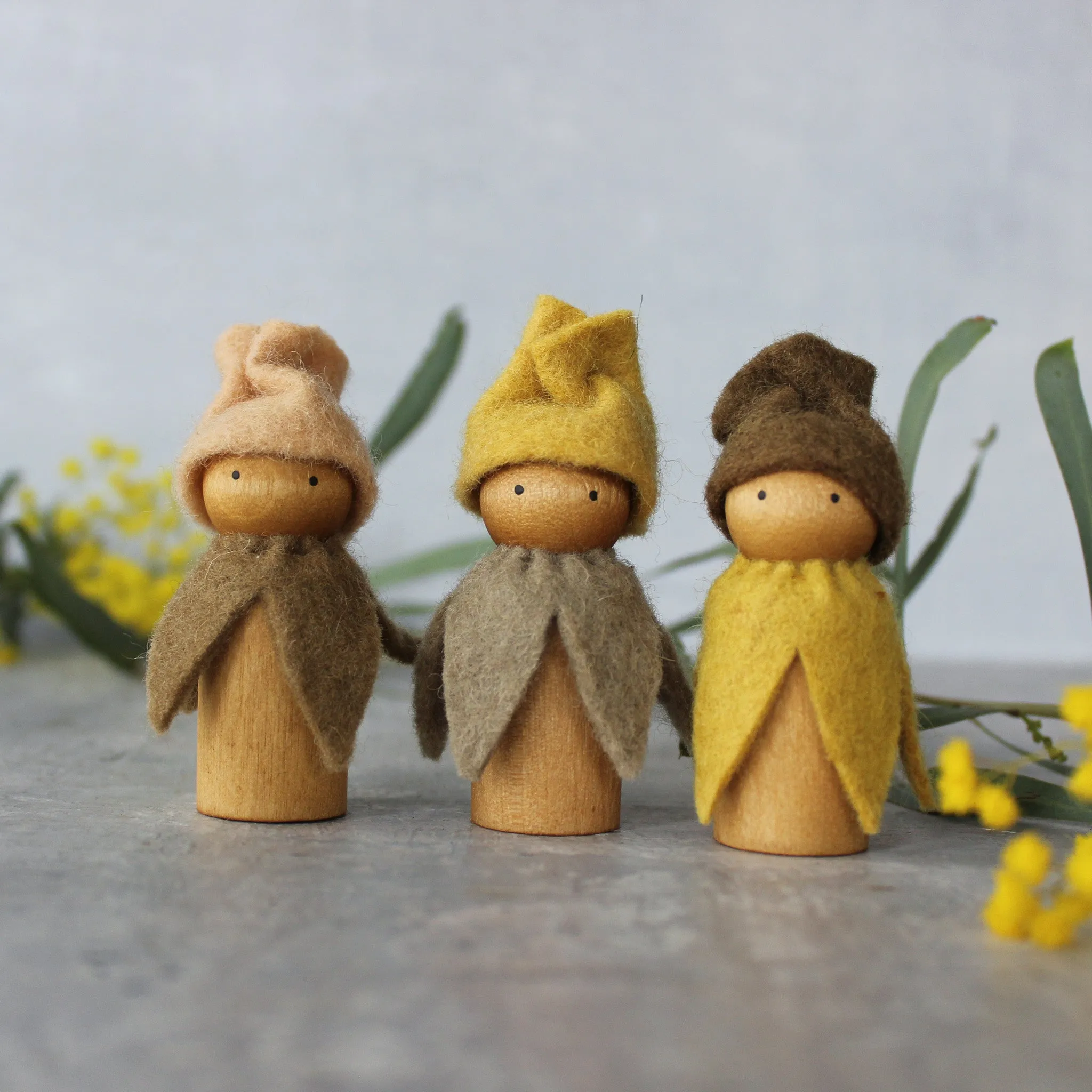 Bush Gnomes