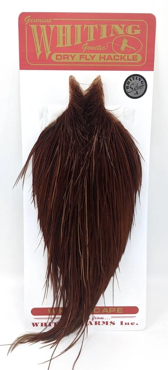 Whiting Silver Cape