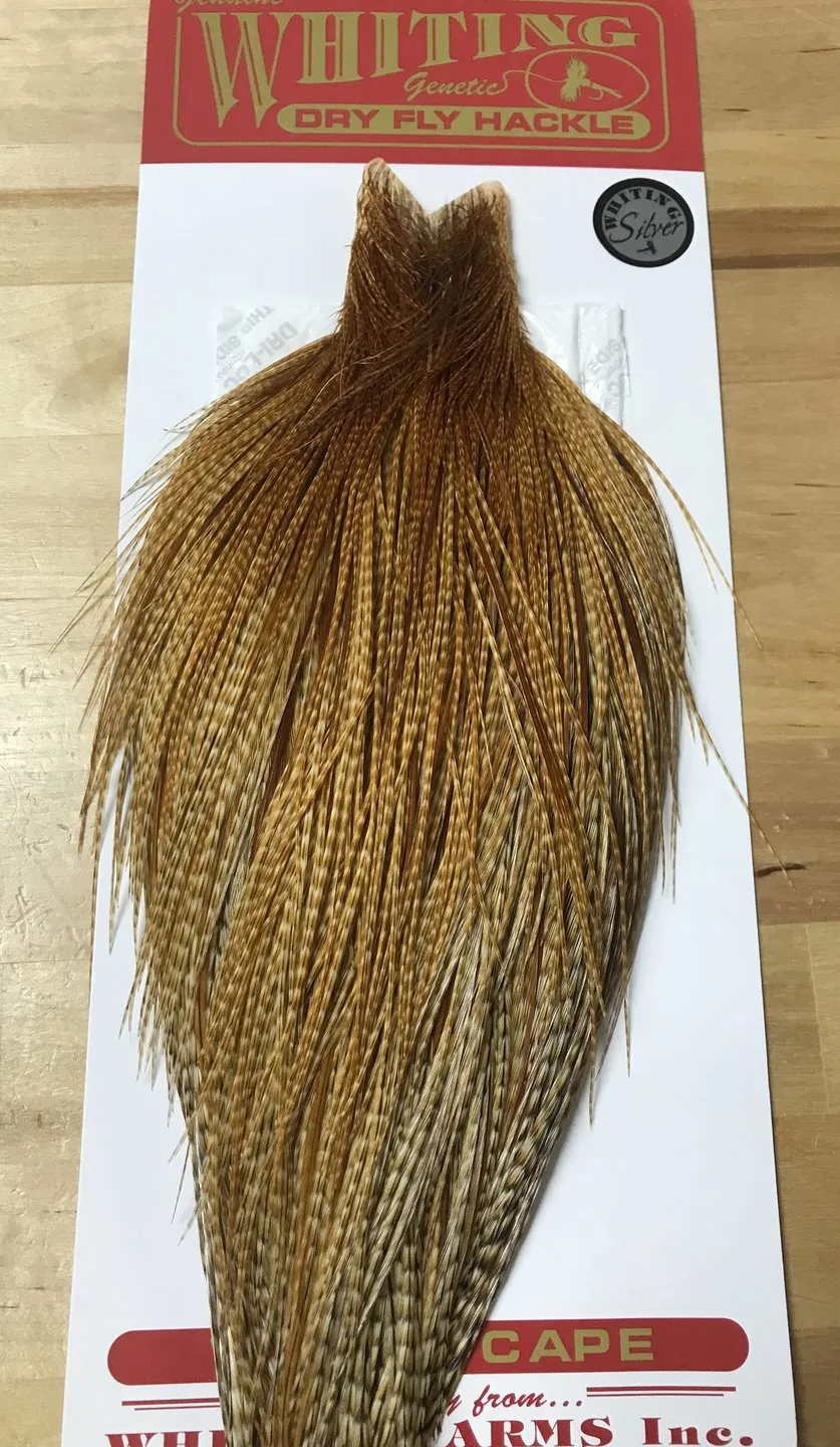 Whiting Silver Cape